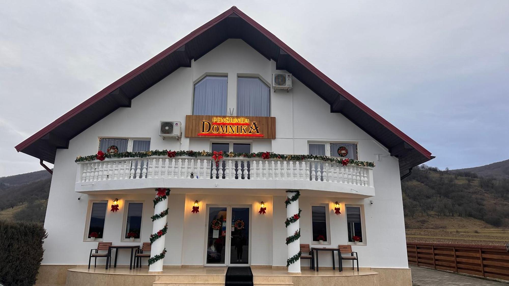Pensiunea Domnika Dej Luaran gambar